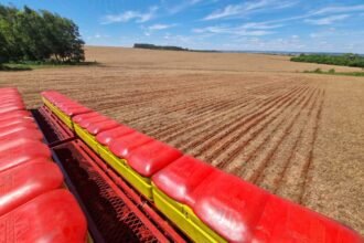 Na querência gaúcha e em todo Brasil, os homens do campo estão mais apertados que cusco em porteira estreita, com aumento de 61,8% nos pedidos de socorro financeiro