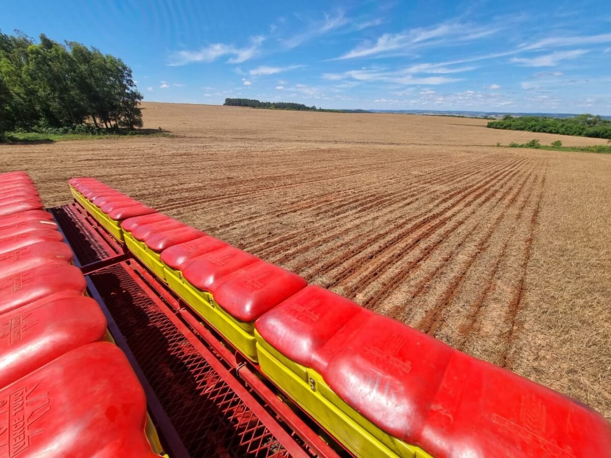 Na querência gaúcha e em todo Brasil, os homens do campo estão mais apertados que cusco em porteira estreita, com aumento de 61,8% nos pedidos de socorro financeiro