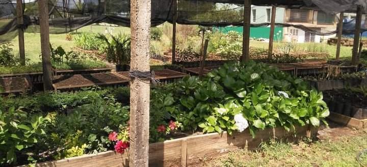 Buenas, vivente! Governo gaúcho acaba de abrir as porteiras de um programa inédito que vai fazer a alegria da gurizada que labuta com aquicultura familiar nos quatro cantos do nosso pago!